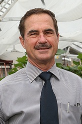 DavidStelly