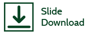 Slide Download Icon